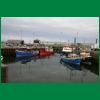 stromness hafen.JPG